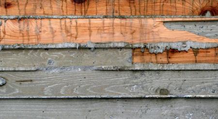 Назад в будущее: сможет ли древесина превзойти бетон?